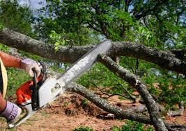 Best Weed Control  in Blairsville, PA