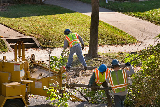 Best Lawn Watering Services  in Blairsville, PA